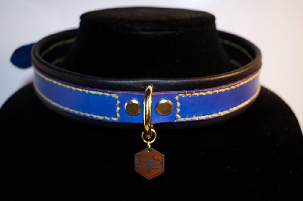 A blue collar with black backing and golden yellow stitching. The Hardware is gold and there is a small gold tag with a custom design engraved into it.