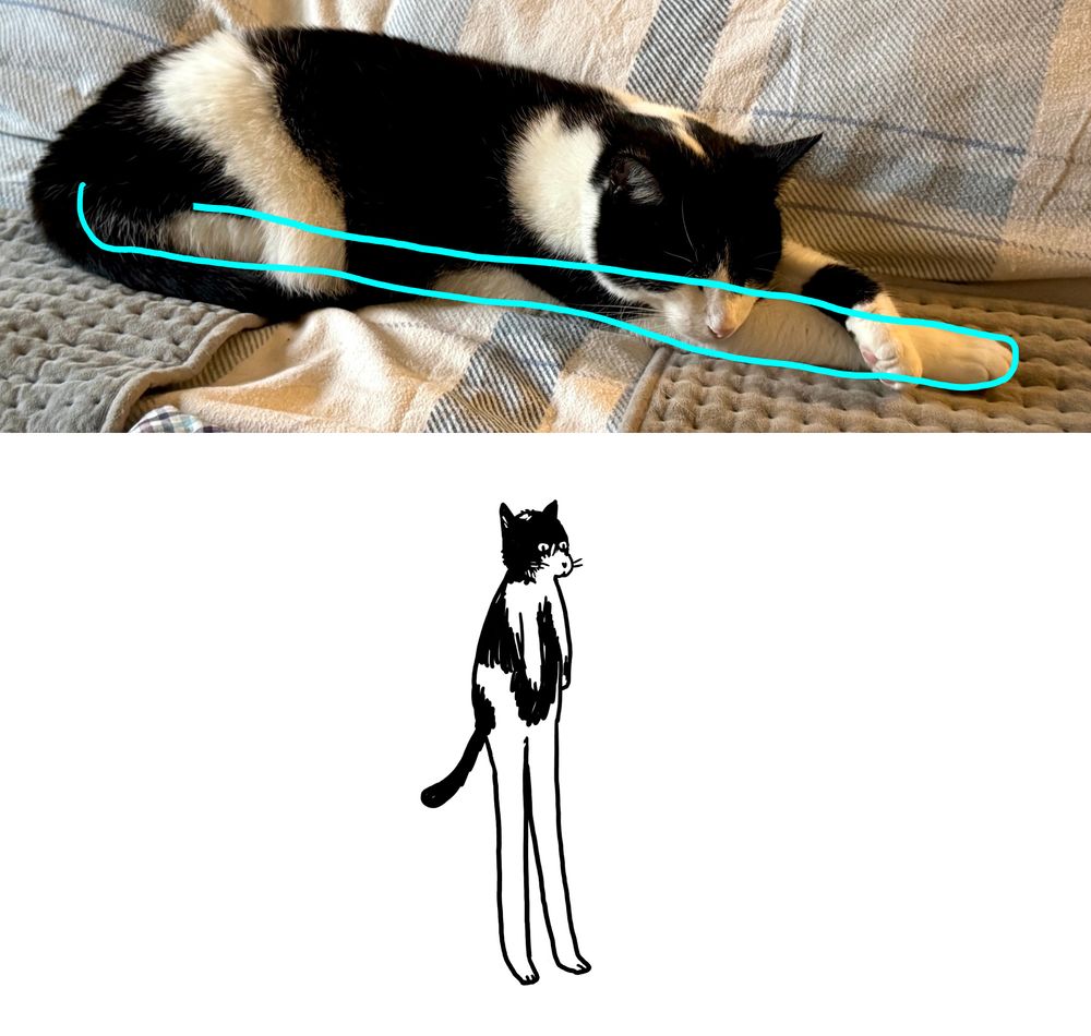 this cat is 60% legs, according to my analysis