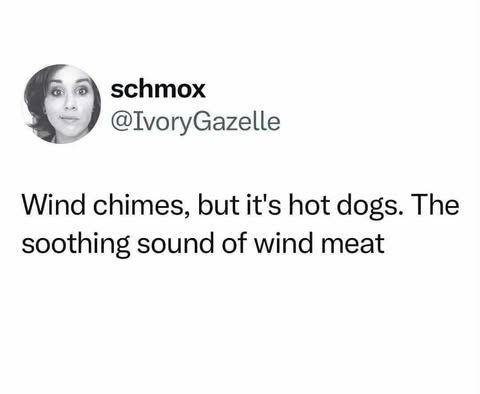 text-only post by schmox, @IvoryGazelle
Wind chimes, but it's hot dogs. The soothing sound of wind meat