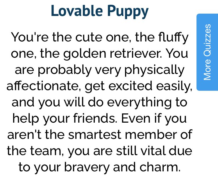 Loveable Puppy uquiz result