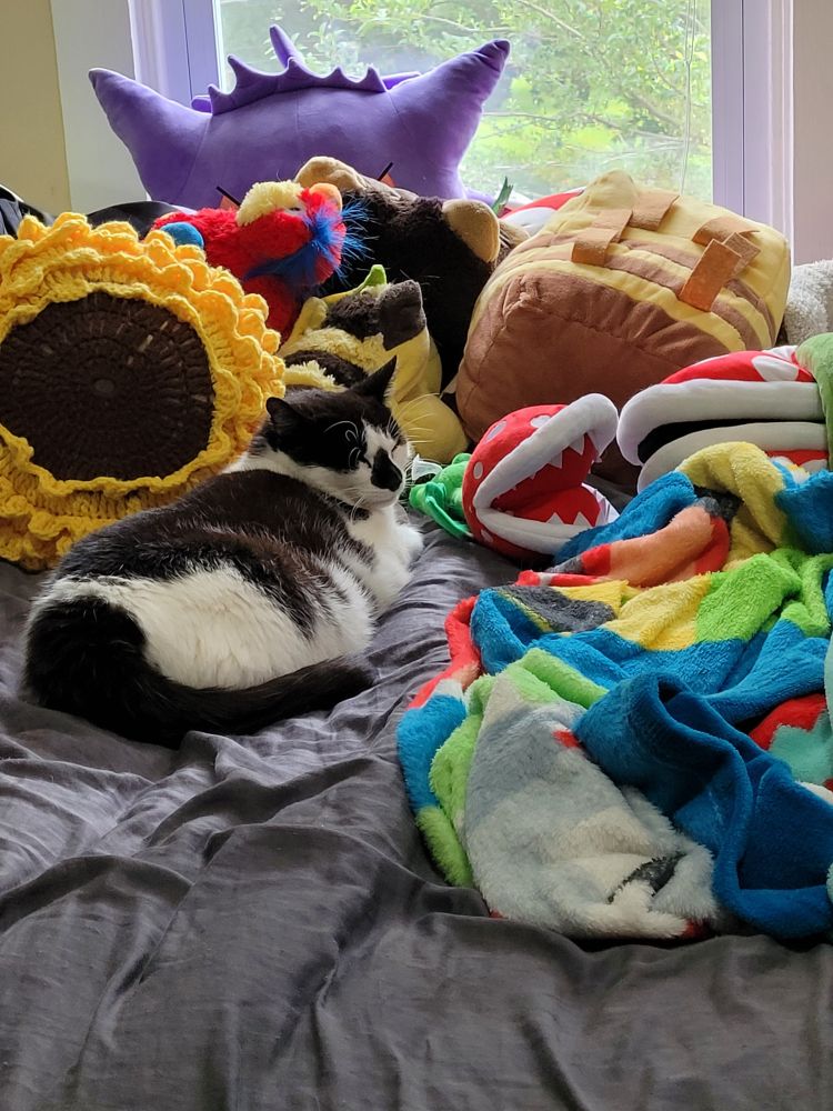 Redria's cow kitty Truffles is asleep on a bed surrounded by lots of stuffies and blankets, including gengar, minecraft bee, piranha plant, and sunflower pillow