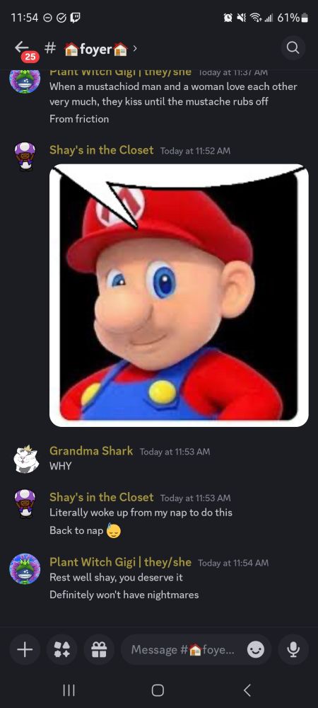 Discord screenshot. Redria: when a mustachioed man and a woman love each other very much, they kiss until the mustache rubs off. From friction. Shay has posted an edit of mario to be completely hairless with a text bubble pointing to redria's message. Sekhmet: WHY. Shay: literally woke up from my nap to do this. Back to nap. Redria: rest well Shay, you deserve it. Definitely won't have nightmares