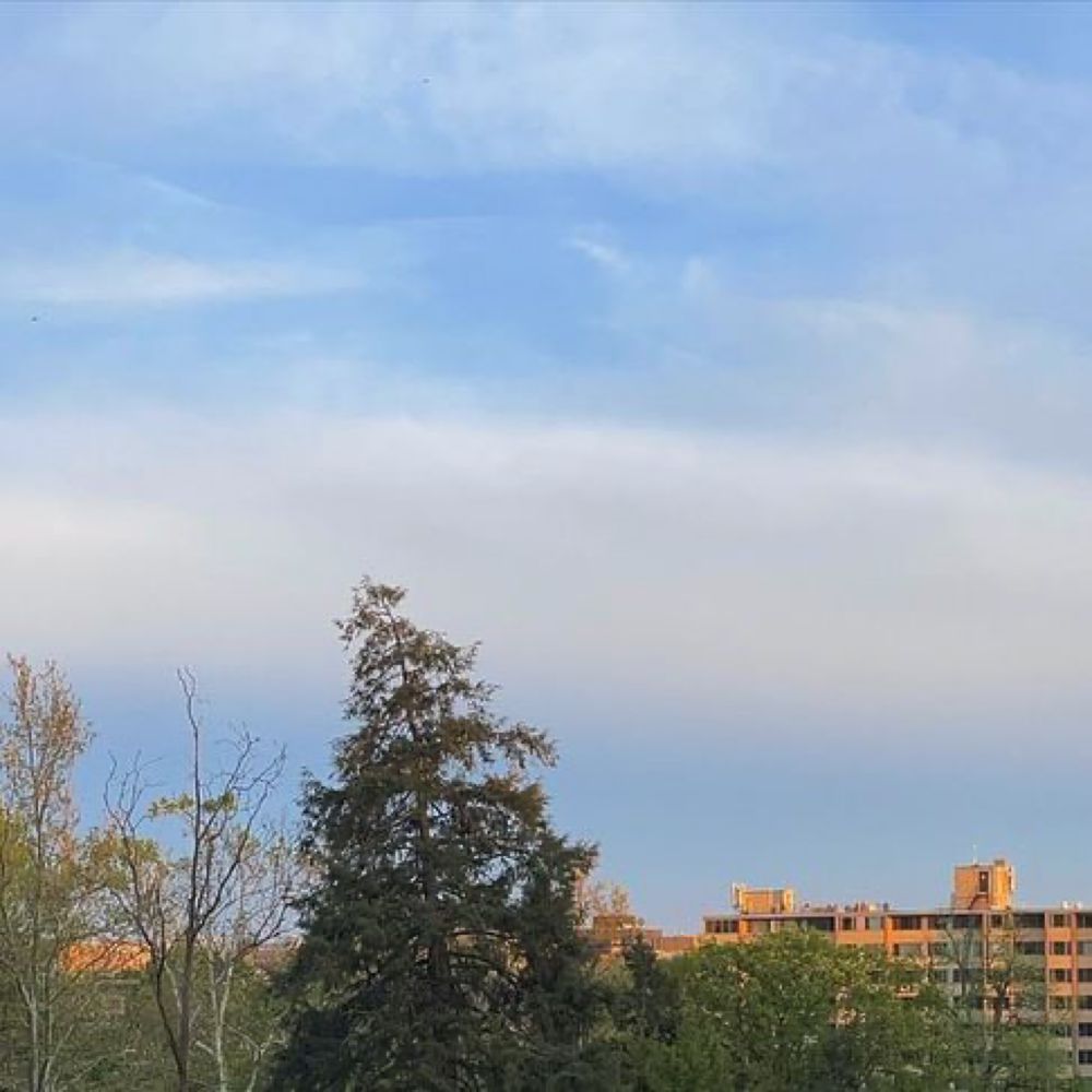 Christopher Chen on Instagram: "Great view of DC from @gusmaydc ‘s birthday party in Malcolm X/Meridian Hill Park! #panoramagram #acreativedc #exposedDC #FotoDC #igdc #dctography #dcfocused #mydcist #...