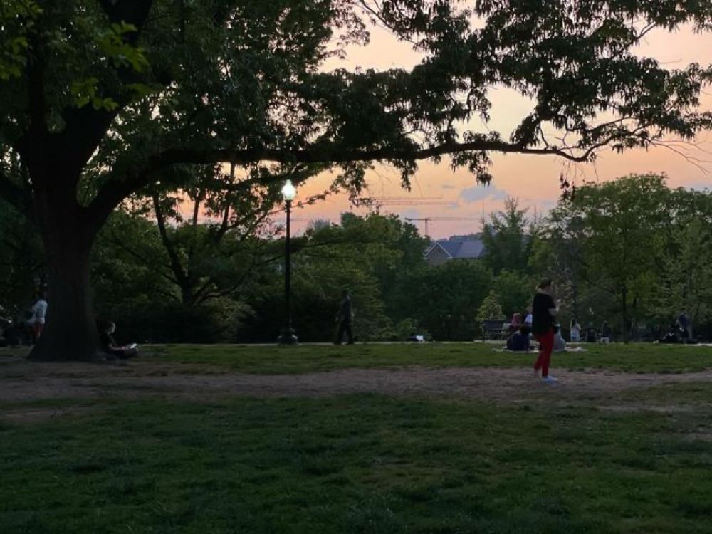 Christopher Chen on Instagram: "Dreamy sunset & more strange offerings in Kalorama Park, Columbia Rd. #acreativedc #exposedDC #FotoDC #igdc #dctography #dcfocused #mydcist #walkwithlocals #streetmeetd...