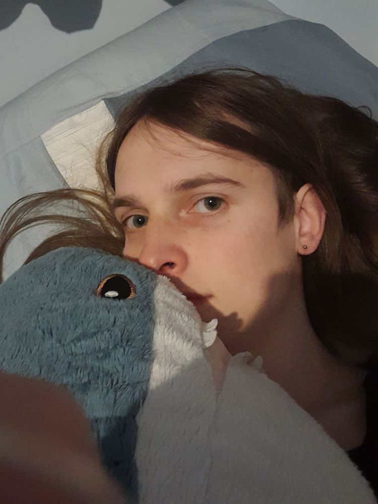 I'm scrolling through my phone in bed with my Blåhaj