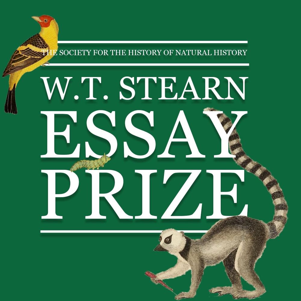 A deep green background with white lettering that reads "WT Stearn Essay Prize" surrounded by a old natural history illustration of a ring-tailed lemur and a yellow bird. 