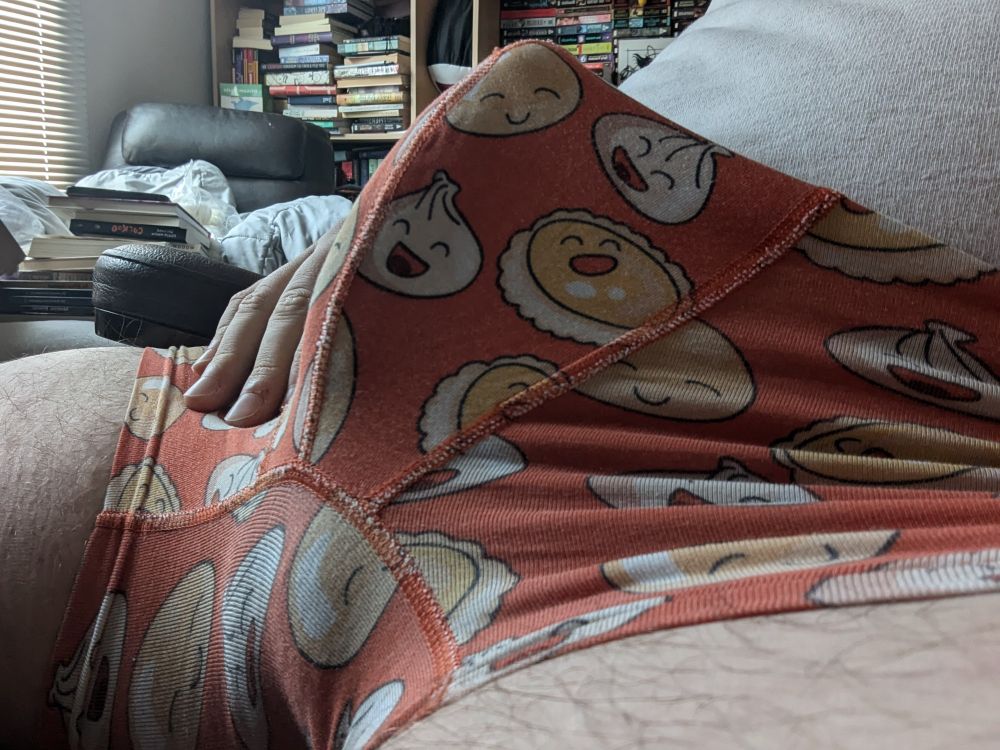 The outline of a hard dick pressed against the inside of patterned boxer briefs