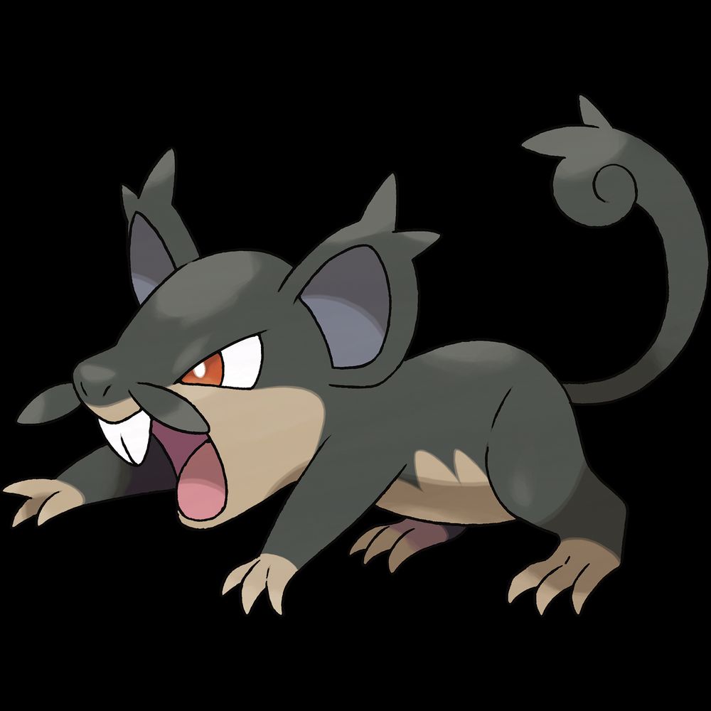 alolan rattata