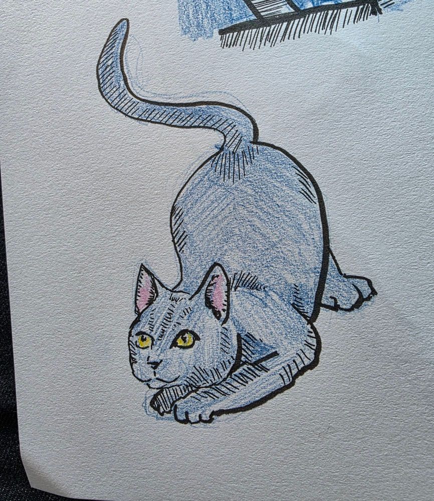 A drawing of a cat ready to pounce, bum in the air. Outlined in black pen but coloured in blue pencil with pink in the ears and yellow on the eyes. 