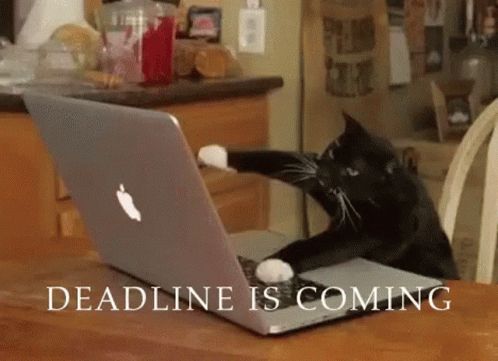 GIF of a black cat typing erratically on a laptop with the words "Deadline is coming" typed along the bottom.