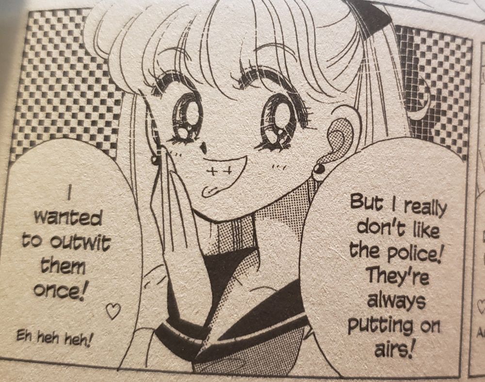 But I really don't like the police. They're always putting on airs - Sailor V