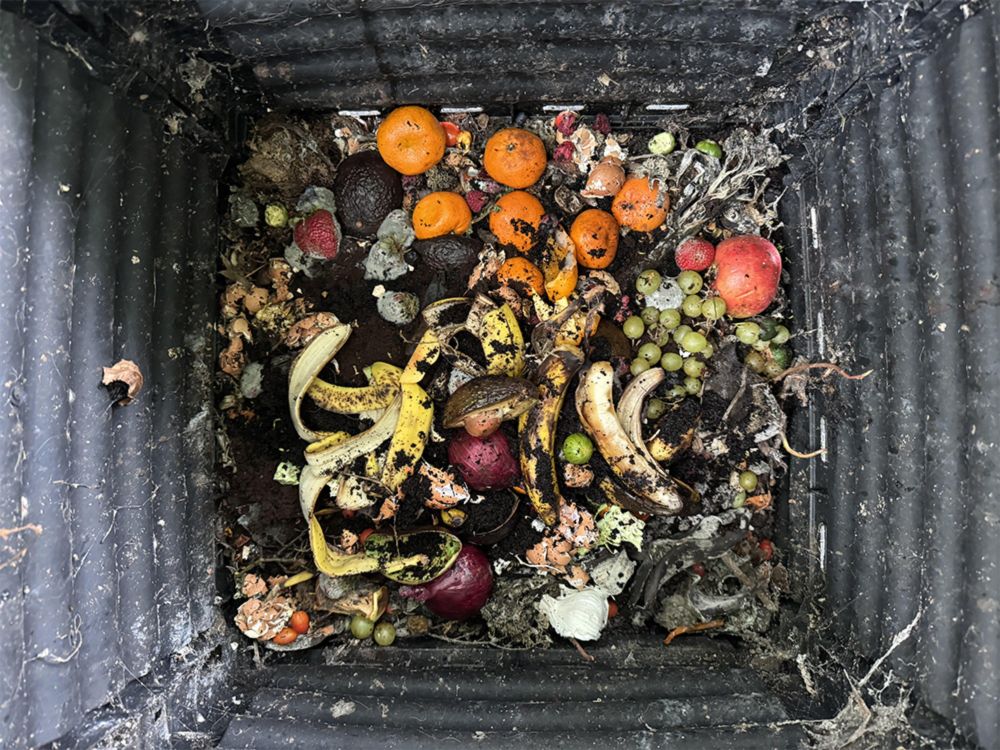 An Introduction to Composting