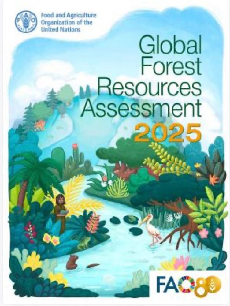 Global forest assessment 2025 - Reported by FAO.