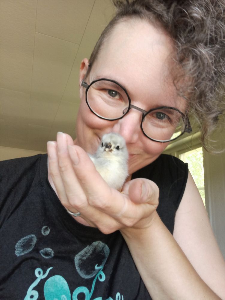 Person holding a baby chick up to their face