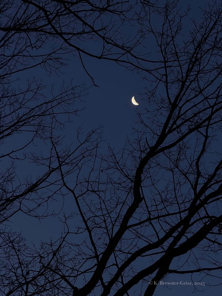 Photo of a waning crescent moon against a purple sky and the silhouettes of leafless trees. 
