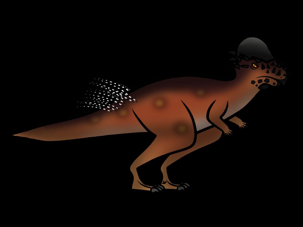 ~Pachycephalosaurus wyomingensis~