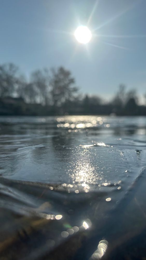 Das Bild zeigt eine tiefstehende Sonne an einem klaren Himmel, deren Licht sich auf einer glatten Oberfläche spiegelt. Im Vordergrund ist scheinbar gefrorenes Wasser zu sehen, auf dessen Struktur sich das Sonnenlicht in hellen Reflexen bricht. Die Kamera befindet sich auf Bodenhöhe und richtet sich in Richtung Horizont. Im Hintergrund sind unscharf die Umrisse von Bäumen und einige Gebäude zu erkennen. Die Bildkomposition betont das Lichtspiel auf der Eisfläche und lässt durch die geringe Schärfentiefe Details im Vordergrund hervortreten, während der Hintergrund verschwommen bleibt.