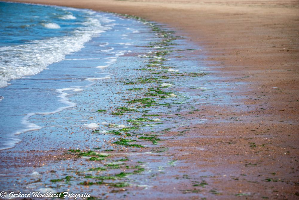 20250602 Aan de Brouwersdam