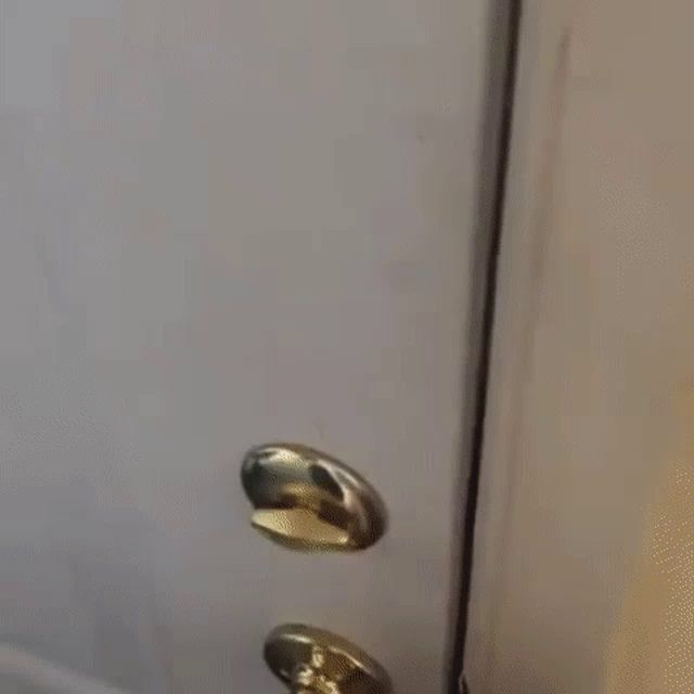 a person is opening a refrigerator door with a screwdriver .