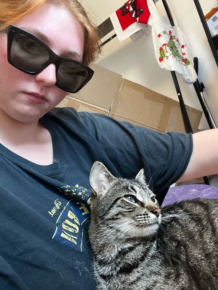 A girl in sunglasses sitting at her computer desk with a kitten in her lap looking at the screen with her 