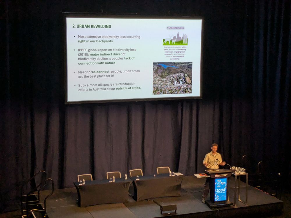 A photo of Dr Patt Finnerty presenting his research on 'urban rewilding' at the International Congress for Conservation Biology 2025 in Meanjin/Brisbane. Patt is a young white man and is standing on a small stage behind a lectern. 