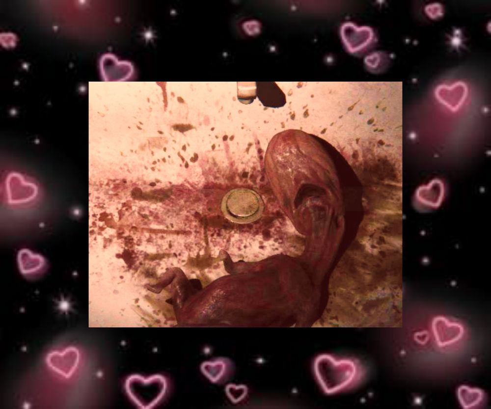 Comment image