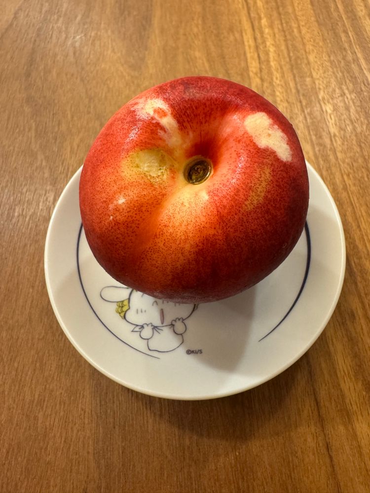 コストコで買ったネクター。ときめきトゥナイトのヨーコ犬のお皿に乗せて。
