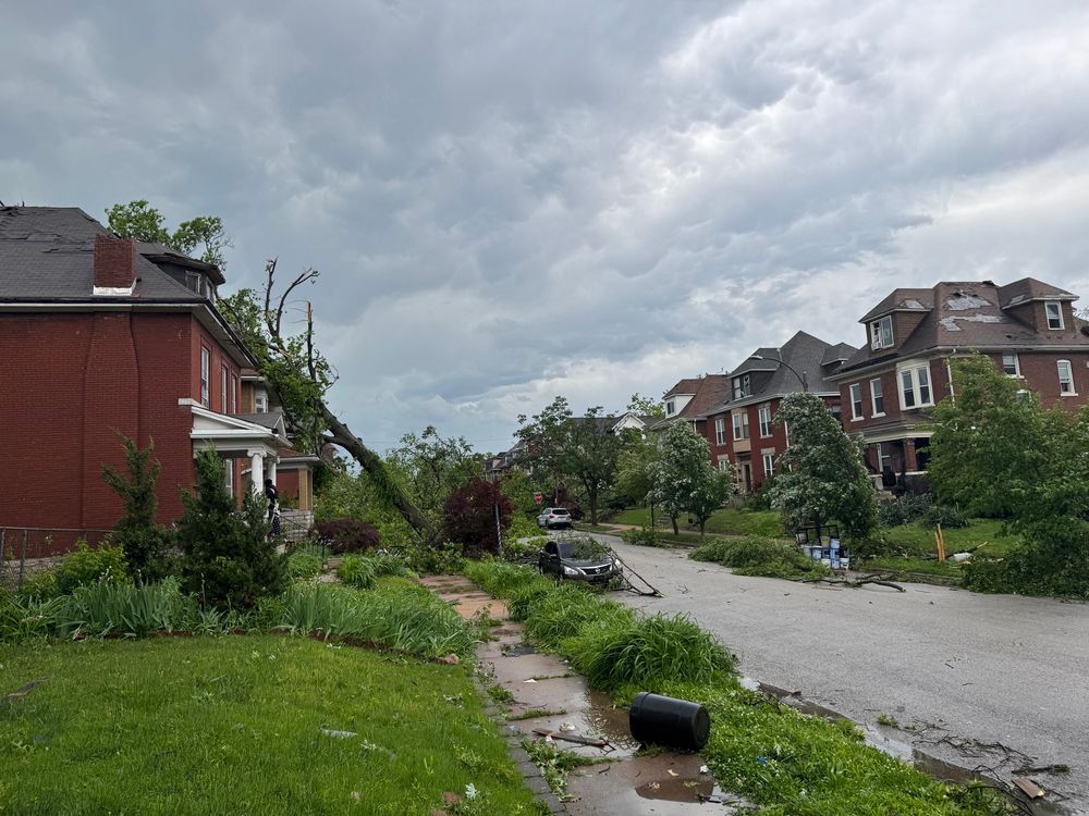 Sixty foot tree down on a house