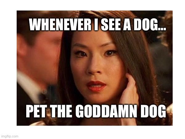Lucy Liu Charlies Angels earpiece instruction meme. In response to seeing any dog, my brain telling me to pet the dog