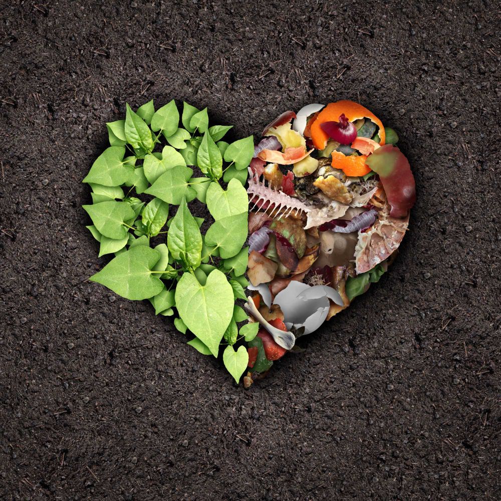A mold in the shape of a heart sits on a bed of soil. It's half-filled with green leaves, and half-filled with compost.