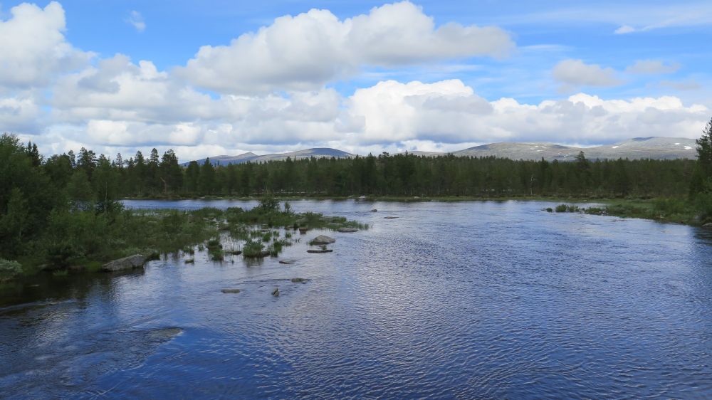 Photo of a freshwater lake