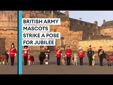 British Army mascots make themselves picture perfect for HM The Queen