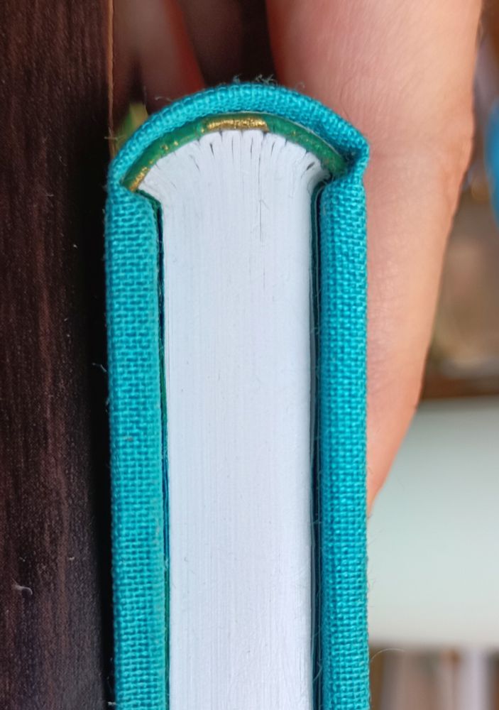 The rounded head of a hand bound book, showing that lovely mushroomy shape of the pages!