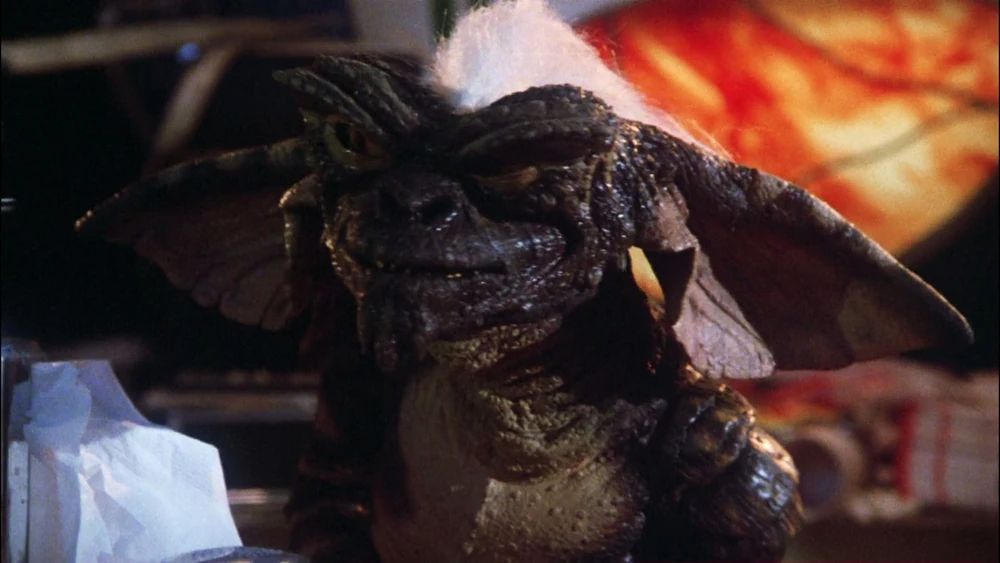 Stripe from Gremlins, plotting something.