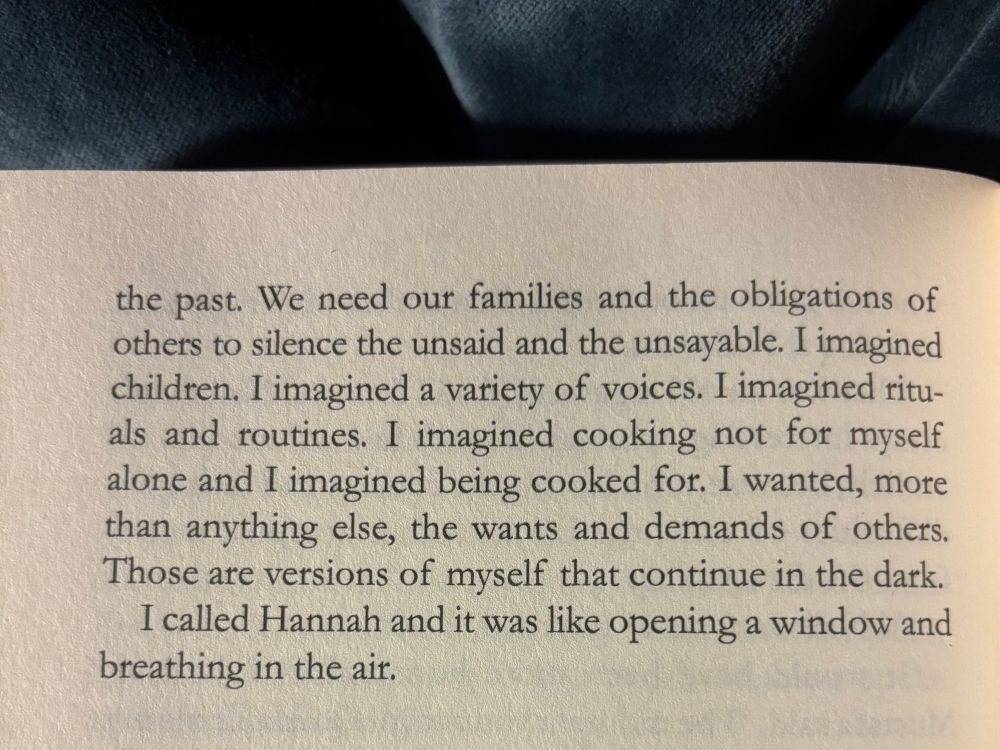 “We need our families and the obligations of others to silence the unsaid and the unsayable. I imagined children. I imagined a variety of voices. I imagined rituals and routines. I imagined cooking not for myself alone and I imagined being cooked for. I wanted, more than anything else, the wants and demands of others. Those are versions of myself that continue in the dark.

I called Hannah and it was like opening a window and breathing in the air.”