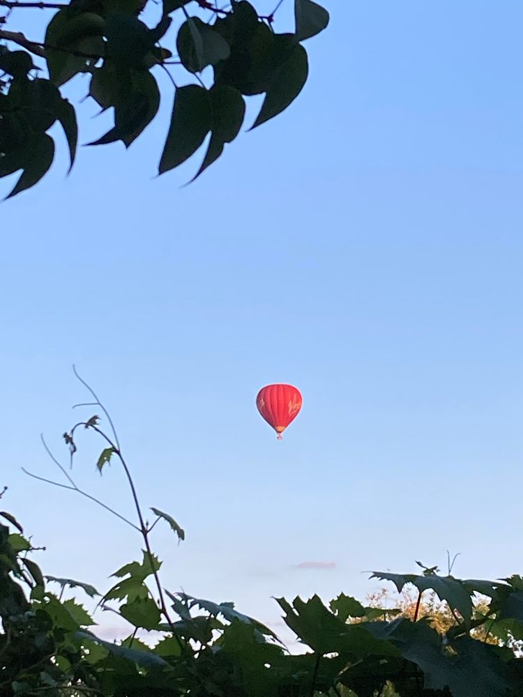 A hot air balloon. It’s red. It’s moving away from me, roaring quietly at intervals as it gains a little more height 