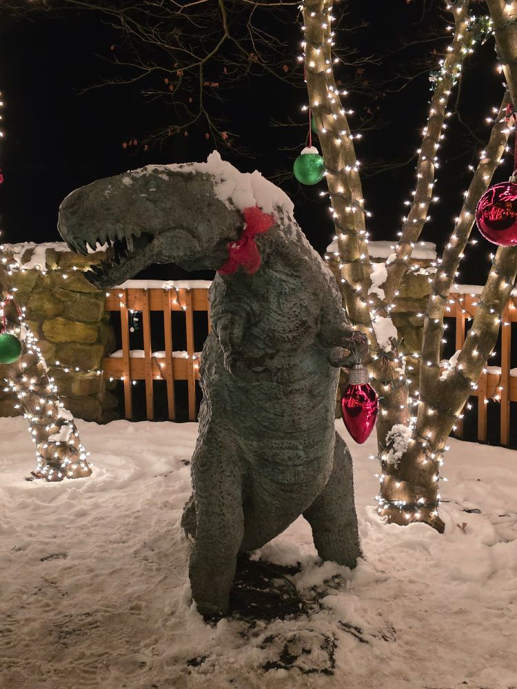 a snow-encrusted statue if a T-Rex with a red bow posed in front of a tree covered with lights