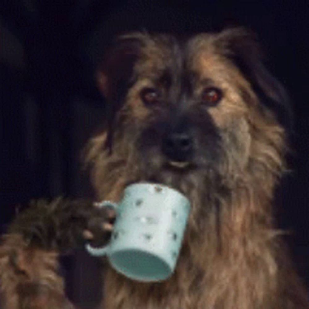 a dog is holding a blue cup in its mouth