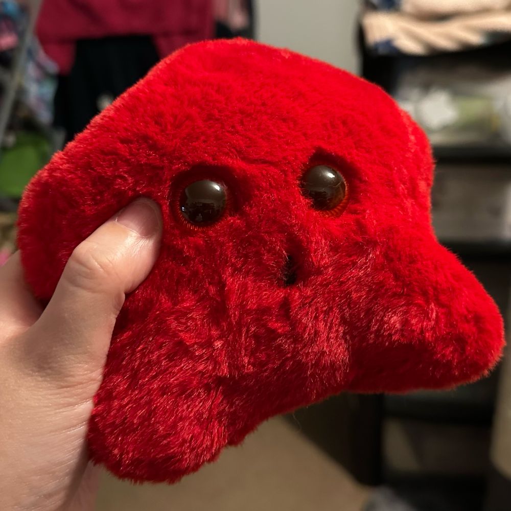 a red fuzzy plush in sort of the shape of a star, with scary eyes and an ill stitched mouth thing being held up for a photogenic picture