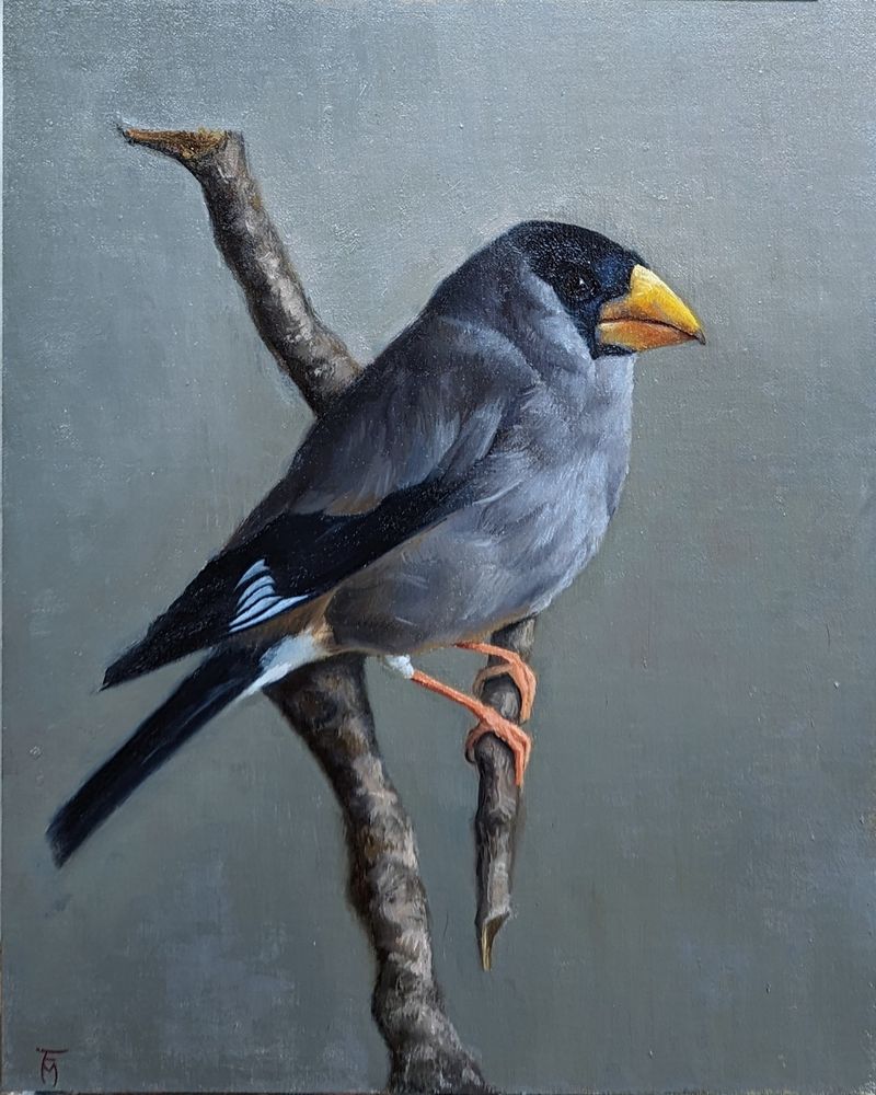 A painting of a Japanese Grosbeak bird on a twig with an ambient neutral background