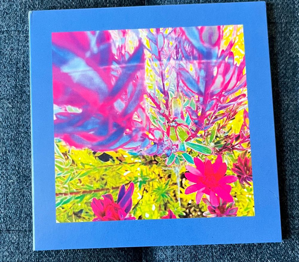 The Reds,Pinks, and Purples - The Past is a Garden I never Fed on cd