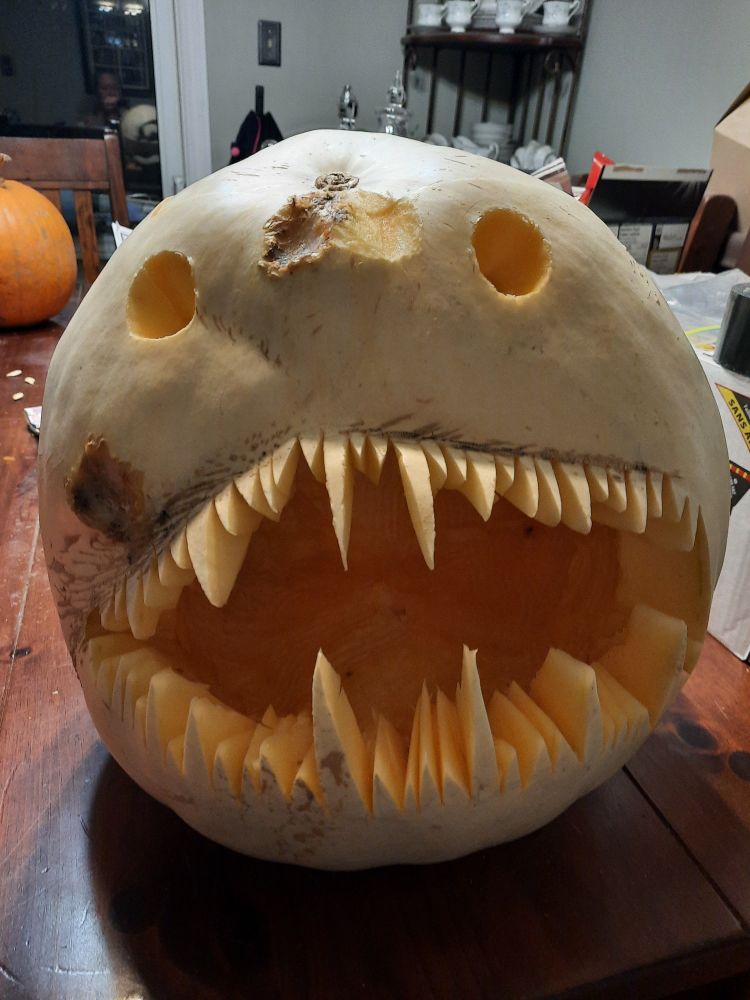 Same ugly ass pumpkin seen straight on