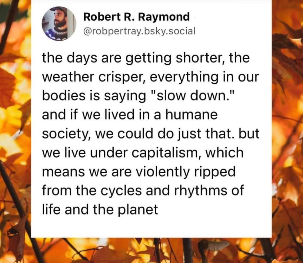 10h •
Robert R. Raymond @robpertray.bsky.social
the days are getting shorter, the weather crisper, everything in our bodies is saying "slow down." and if we lived in a humane society, we could do just that. but we live under capitalism, which means we are violently ripped from the cycles and rhythms of life and the planet