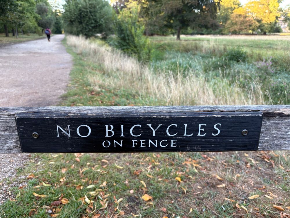 Beautifully executed hand-painted sign saying no bicycles allowed.