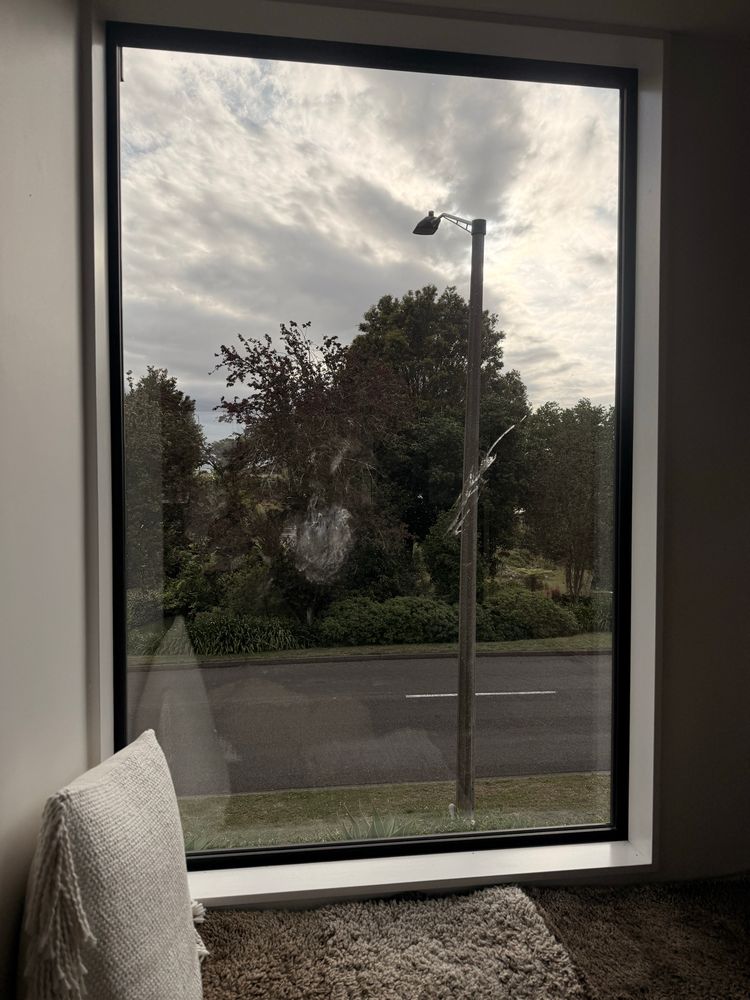 Feather dust marks and poo spray on glass, from fat kererū hitting the window.