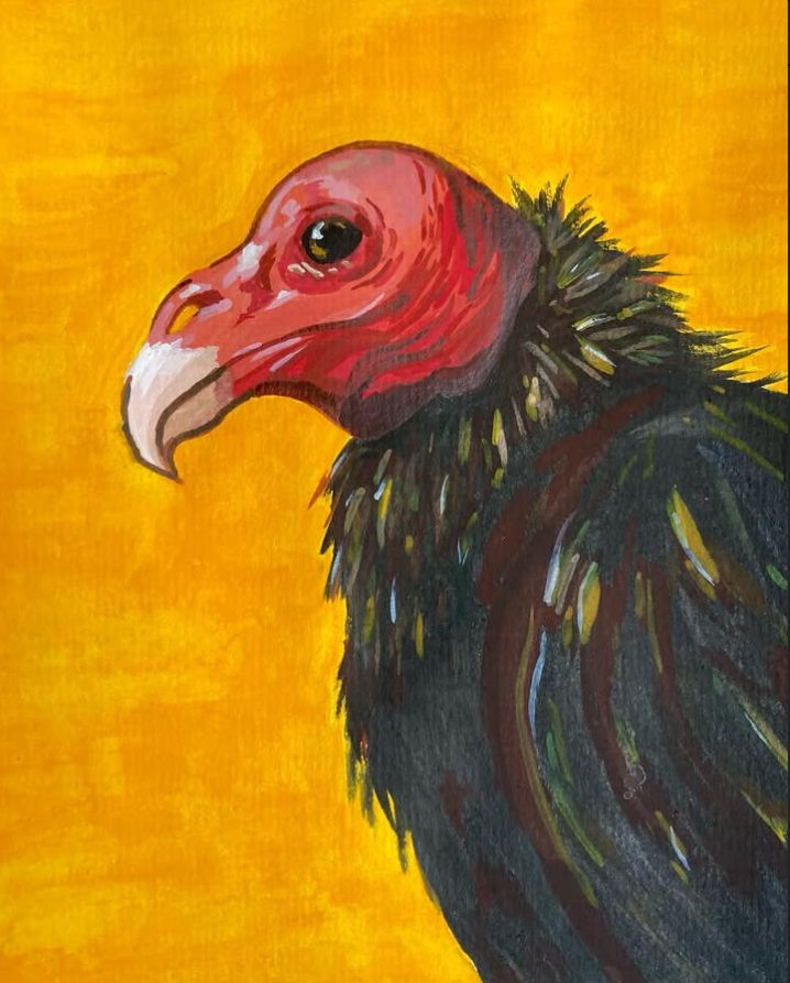 A gouache painting featuring a side profile of a turkey vulture on a mustard-yellow background. 