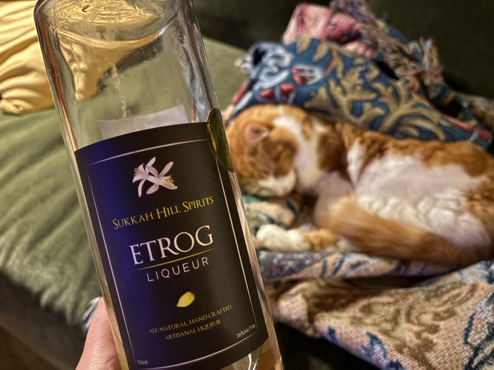 Etrog liqueur from Sukkah Hill Spirits, with my orange cat sleeping in a blanket in the background 