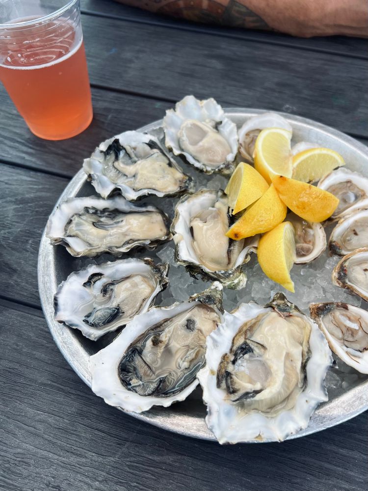 a metal platter on a wooden table holding 14 oysters. there are lemons in the center of the platter, a beer on the table to the upper left, and a tattooed arm across the top. 