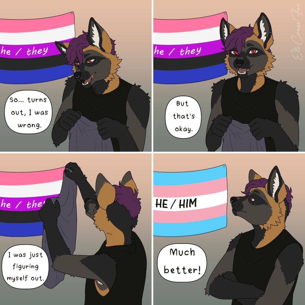 A comic of Eli Cross Fox.
Panel 1: Eli stands in front of a genderfluid flag, holding a nondescript fabric. Dialogue: "So... turns out, I was wrong."
Panel 2: Eli looks at viewer. Dialogue: "But that's okay."
Panel 3: Eli is covering the genderfluid flag with the fabric he was holding. Dialogue: "I was figuring myself out."
Panel 4: The genderfluid flag has been replaced by the transgender flag. Dialogue: "Much better!"