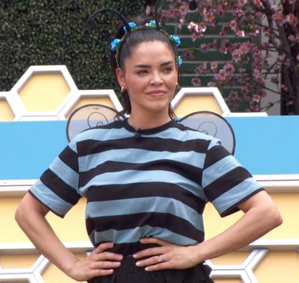 bb26 brooklyn wearing a bee costume in a veto comp